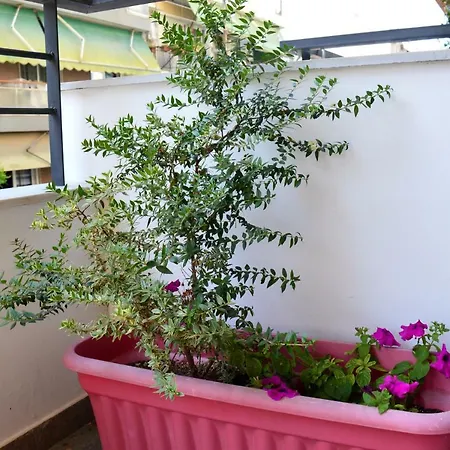 公寓 Cosy 1 Close To The City Center *